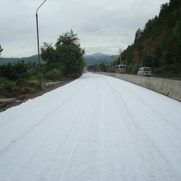 Optimizing Pavements: Geosynthetics vs. Chemical Stabilization for Subgrade Improvement