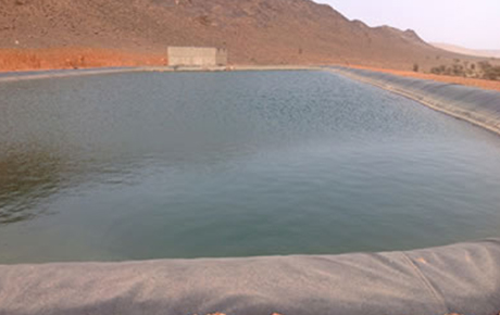 GSE Geomembrane