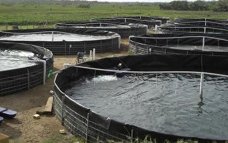 Reserviors Geomembrane