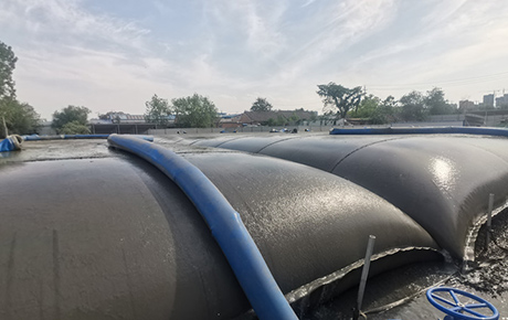 Dewatering System