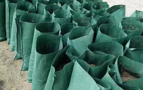 Green Sand Bag